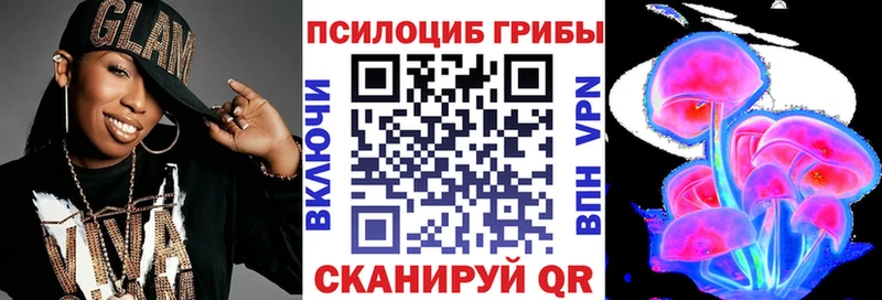 kraken ТОР  Тосно  Галлюциногенные грибы ЛСД  что такое  